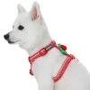Christmas Zigzag Chevron Dog Harness With Bowtie Accessory -Dog & Cat Store 1160237042 4