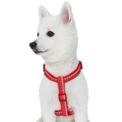 Christmas Zigzag Chevron Dog Harness With Bowtie Accessory -Dog & Cat Store 1160237042 5