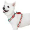 Christmas Snowman Making Dog Harness For Holiday Fun -Dog & Cat Store 1160238049 4 326a7c56 8b47 4e21 9961 db92c05efdde
