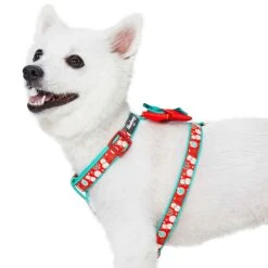 Christmas Snowman Making Dog Harness For Holiday Fun