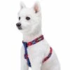 Dog Harness In Scottish Argyle For Everyday Use And Style -Dog & Cat Store 1160245047 3