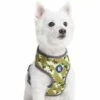 Camouflage Dog Harness Vest For Cool And Comfortable Wear -Dog & Cat Store 1160252021 5