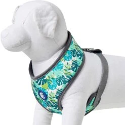Summer Vacation Tropical Dog Harness Vest Palm Leaves Hawaiian -Dog & Cat Store 1160254025 1