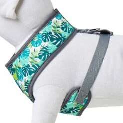Summer Vacation Tropical Dog Harness Vest Palm Leaves Hawaiian -Dog & Cat Store 1160254025 3