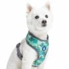 Summer Vacation Tropical Dog Harness Vest Palm Leaves Hawaiian -Dog & Cat Store 1160254025 5
