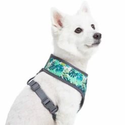 Summer Vacation Tropical Dog Harness Vest Palm Leaves Hawaiian -Dog & Cat Store 1160254025 6