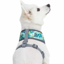 Summer Vacation Tropical Dog Harness Vest Palm Leaves Hawaiian -Dog & Cat Store 1160254025 7