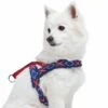 Easy On/Off Sherpa Fleece Padded Dog Harness Scottish Argyle 10 Easy On/Off Sherpa Fleece Padded Dog Harness Scottish Argyle -Dog & Cat Store 1160255046 4