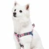 Southwestern Pattern Dog Harness For Stylish Pets -Dog & Cat Store 1160258047 4