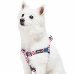 Southwestern Pattern Dog Harness For Stylish Pets
