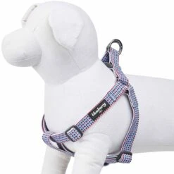Multicolor Braids Dog Harness For Stylish Pet Adventures -Dog & Cat Store 1160259044 1