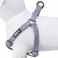 Multicolor Braids Dog Harness For Stylish Pet Adventures -Dog & Cat Store 1160259044 2