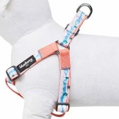 Blueberry Pet × Jackelyn Ho Dog Harness For Hiking Adventures -Dog & Cat Store 1160260040 2