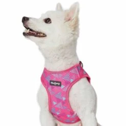 Southwestern Tribal Dog Harness Vest For Stylish Pets -Dog & Cat Store 1160273026 4
