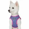 Southwestern Tribal Dog Harness Vest For Stylish Pets -Dog & Cat Store 1160275020 4