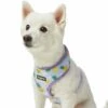 Zesty Fruit Dog Harness Vest For Warm Weather Comfort -Dog & Cat Store 1160280024 3 c245e1bb 1948 4025 9cd1 f6749439fb79