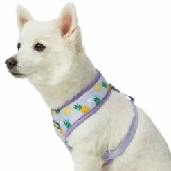 Zesty Fruit Dog Harness Vest For Warm Weather Comfort -Dog & Cat Store 1160280024 4 63ad7e62 50f5 4807 bd7f 4b57be47fcd2