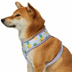 Zesty Fruit Dog Harness Vest For Warm Weather Comfort -Dog & Cat Store 1160280024 6 a61bb670 184e 4b24 b1f1 d563c1d8e22a