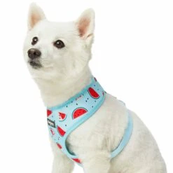 Zesty Fruit Dog Harness Vest For Warm Weather Comfort -Dog & Cat Store 1160281021 4 aeff0300 1726 44cb a268 1d1899a1ac63