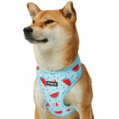Zesty Fruit Dog Harness Vest For Warm Weather Comfort -Dog & Cat Store 1160281021 5 991a1c28 e199 401f bc39 d1e9b3133ae8