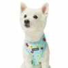 Tropical Yellow Plumeria Flower Dog Harness Vest For Pets -Dog & Cat Store 1160283025 3