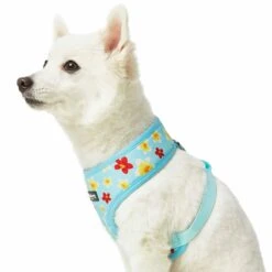 Tropical Yellow Plumeria Flower Dog Harness Vest For Pets -Dog & Cat Store 1160283025 4