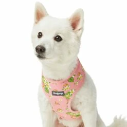 Tropical Yellow Plumeria Flower Dog Harness Vest For Pets -Dog & Cat Store 1160284022 3