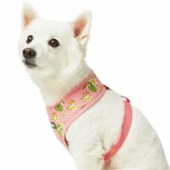 Tropical Yellow Plumeria Flower Dog Harness Vest For Pets -Dog & Cat Store 1160284022 4