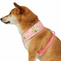 Tropical Yellow Plumeria Flower Dog Harness Vest For Pets -Dog & Cat Store 1160284022 6