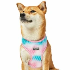 Enchanting Sea Dog Harness Vest For Ultimate Comfort -Dog & Cat Store 1160285029 5