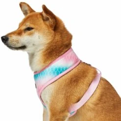 Enchanting Sea Dog Harness Vest For Ultimate Comfort -Dog & Cat Store 1160285029 6