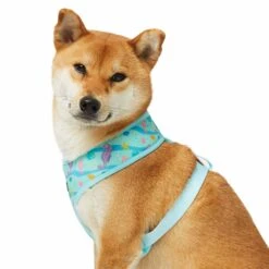 Enchanting Sea Dog Harness Vest For Ultimate Comfort -Dog & Cat Store 1160286026 6