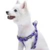 Paisley Print Padded Dog Harness For Stylish Comfort