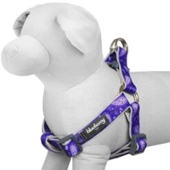 Paisley Print Padded Dog Harness For Stylish Comfort -Dog & Cat Store 1160517045 3