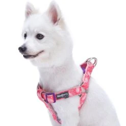 Paisley Print Padded Dog Harness For Stylish Comfort -Dog & Cat Store 1160518042 1