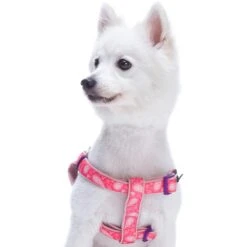 Paisley Print Padded Dog Harness For Stylish Comfort -Dog & Cat Store 1160518042 2