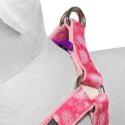 Paisley Print Padded Dog Harness For Stylish Comfort -Dog & Cat Store 1160518042 4