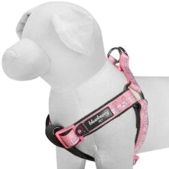 Reflective Hues Of Spring 3M Reflective Dog Harness -Dog & Cat Store 1160521042 1