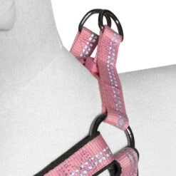 Reflective Hues Of Spring 3M Reflective Dog Harness -Dog & Cat Store 1160521042 3