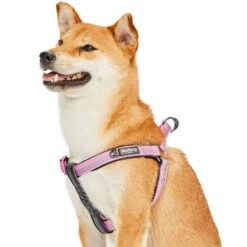 Reflective Hues Of Spring 3M Reflective Dog Harness -Dog & Cat Store 1160521042 4