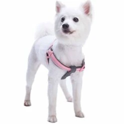 Reflective Hues Of Spring 3M Reflective Dog Harness -Dog & Cat Store 1160521042 5