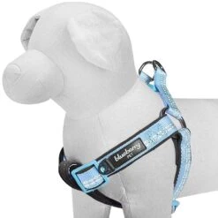 Reflective Hues Of Spring 3M Reflective Dog Harness -Dog & Cat Store 1160522049 1 436a5183 98e8 4044 940f 484c7b7c4394