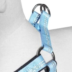 Reflective Hues Of Spring 3M Reflective Dog Harness -Dog & Cat Store 1160522049 3 5c533b4b e702 4591 941d 4f9b440af027