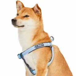 Reflective Hues Of Spring 3M Reflective Dog Harness -Dog & Cat Store 1160522049 4