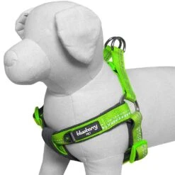Reflective Hues Of Spring 3M Reflective Dog Harness -Dog & Cat Store 1160523046 1 d4469b9a 6908 48e2 bea3 5912e16ac0d0