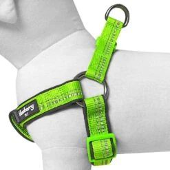 Reflective Hues Of Spring 3M Reflective Dog Harness -Dog & Cat Store 1160523046 2 93b10d63 d5e0 4a66 abc8 a48978dcccb0