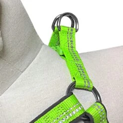 Reflective Hues Of Spring 3M Reflective Dog Harness -Dog & Cat Store 1160523046 3 9a289ed9 1671 4cc8 aa71 61266b671e05