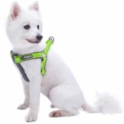 Reflective Hues Of Spring 3M Reflective Dog Harness -Dog & Cat Store 1160523046 4