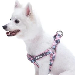Floral Prints Neoprene Padded Dog Harness For Comfort 12 Floral Prints Neoprene Padded Dog Harness For Comfort -Dog & Cat Store 1160528041 1