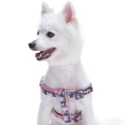 Floral Prints Neoprene Padded Dog Harness For Comfort 13 Floral Prints Neoprene Padded Dog Harness For Comfort -Dog & Cat Store 1160528041 2